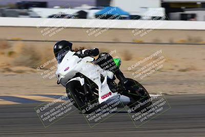 media/Jan-08-2022-SoCal Trackdays (Sat) [[1ec2777125]]/Turn 14 Outside (1050am)/